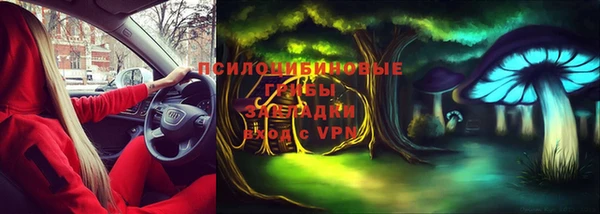 кокс Алзамай