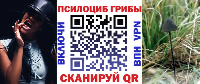 Галлюциногенные грибы Magic Shrooms  Усть-Лабинск 